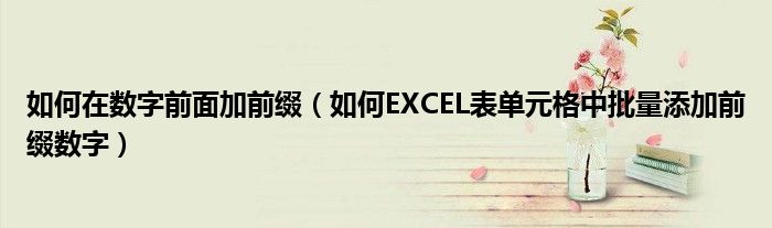 如何在数字前面加前缀（如何EXCEL表单元格中批量添加前缀数字）