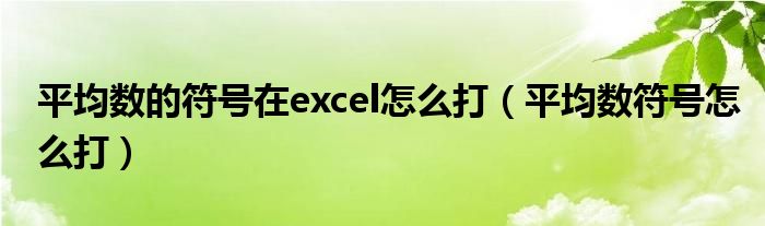 平均数的符号在excel怎么打（平均数符号怎么打）