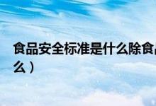 食品安全标准是什么除食品安全标准外（食品安全标准是什么）
