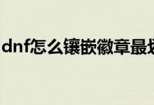 dnf怎么镶嵌徽章最划算（dnf怎么镶嵌徽章）