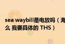sea waybill是电放吗（海运中 电放和WAYBILL的区别是什么 我要具体的 THS）
