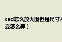 cad怎么放大图但是尺寸不变（cad 把图放大 但保持尺寸不变怎么弄）