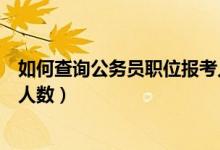 如何查询公务员职位报考人数呢（如何查询公务员职位报考人数）