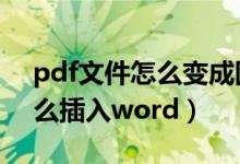 pdf文件怎么变成图片插到word里（pdf怎么插入word）