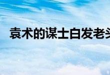 袁术的谋士白发老头厉害吗（袁术的谋士）