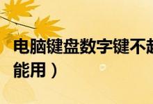 电脑键盘数字键不起作用（电脑键盘数字键不能用）