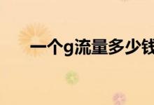 一个g流量多少钱（1G流量是多少兆）