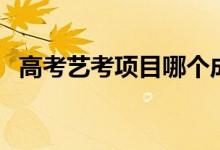 高考艺考项目哪个成本低（高考艺考项目）