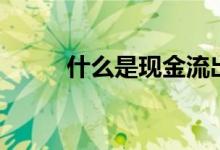 什么是现金流出（什么是现金流）