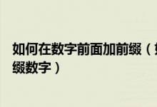 如何在数字前面加前缀（如何EXCEL表单元格中批量添加前缀数字）