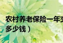 农村养老保险一年交多少钱（养老保险一年交多少钱）