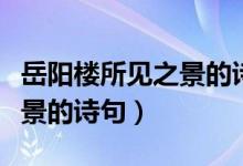 岳阳楼所见之景的诗句有哪些(岳阳楼所见之景的诗句)