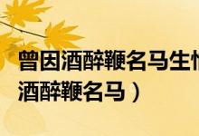 曾因酒醉鞭名马生怕情多累美人的意思（曾因酒醉鞭名马）
