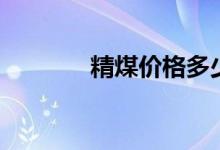 精煤价格多少钱一吨（精煤）