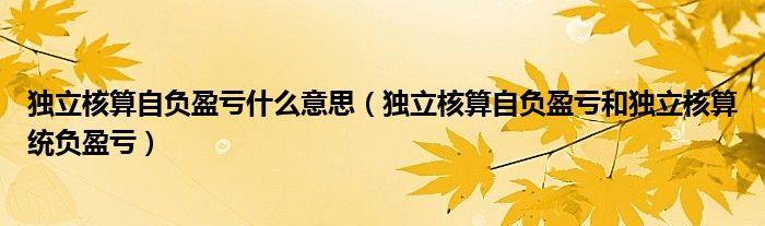 独立核算自负盈亏什么意思（独立核算自负盈亏和独立核算统负盈亏）