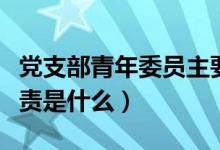 党支部青年委员主要职责（党支部青年委员职责是什么）