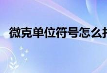 微克单位符号怎么打（微克符号怎么输入）