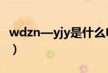 wdzn—yjy是什么电缆（wdz yjy是什么电缆）