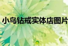 小鸟钻戒实体店图片欣赏（小鸟钻石实体店）