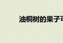 油桐树的果子可以吃吗(油桐树)