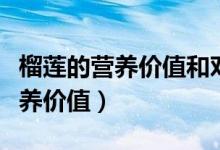 榴莲的营养价值和对人体哪些好处（榴莲的营养价值）