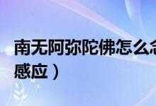 南无阿弥陀佛怎么念是对的（念南无阿弥陀佛感应）