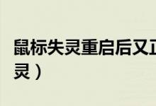鼠标失灵重启后又正常一会儿又失灵（鼠标失灵）