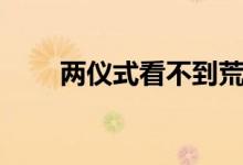两仪式看不到荒耶宗莲（荒耶宗莲）