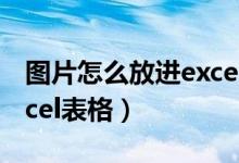 图片怎么放进excel表格中（图片怎么放进excel表格）