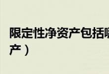 限定性净资产包括哪些（什么是非限定性净资产）