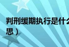 判刑缓期执行是什么意思（缓期执行是什么意思）