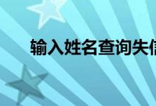 输入姓名查询失信名单(人法执行网)