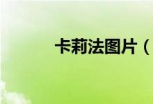 卡莉法图片（卡莉法被抡图片）