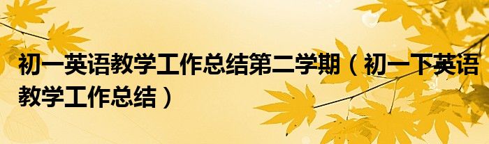 初一英语教学工作总结第二学期（初一下英语教学工作总结）