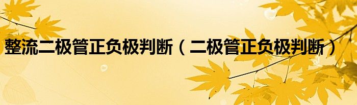 整流二极管正负极判断（二极管正负极判断）