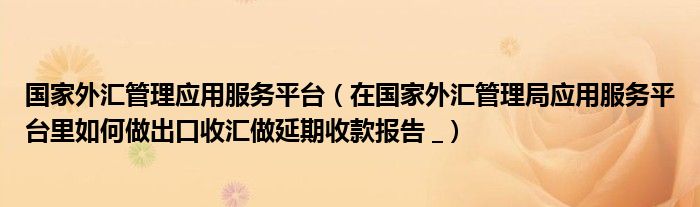 国家外汇管理应用服务平台（在国家外汇管理局应用服务平台里如何做出口收汇做延期收款报告 _）