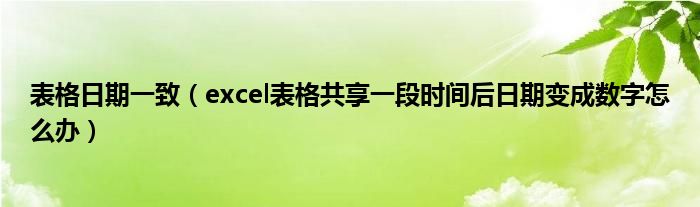 表格日期一致（excel表格共享一段时间后日期变成数字怎么办）