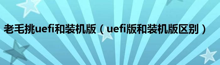 老毛挑uefi和装机版（uefi版和装机版区别）