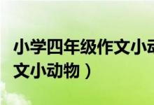 小学四年级作文小动物的作文（小学四年级作文小动物）