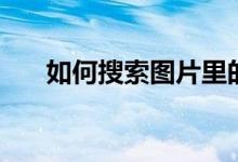 如何搜索图片里的人（如何搜索图片）