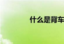 什么是背车（什么叫背车）