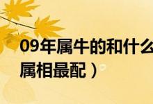 09年属牛的和什么属相最配（属牛的和什么属相最配）