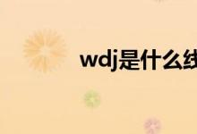 wdj是什么线（WDJ是什么）
