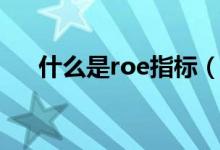 什么是roe指标（roe指标是什么意思）