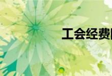 工会经费网上申报流程