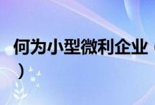 何为小型微利企业（什么是小型微利企业标准）