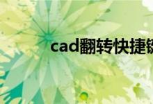cad翻转快捷键命令（cad翻转）