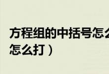 方程组的中括号怎么打出来（方程组的大括号怎么打）