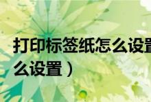 打印标签纸怎么设置间隔时间（打印标签纸怎么设置）