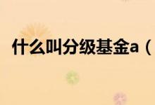 什么叫分级基金a（分级基金a是什么意思）